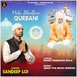 NAHI BHULLANI QURBANI