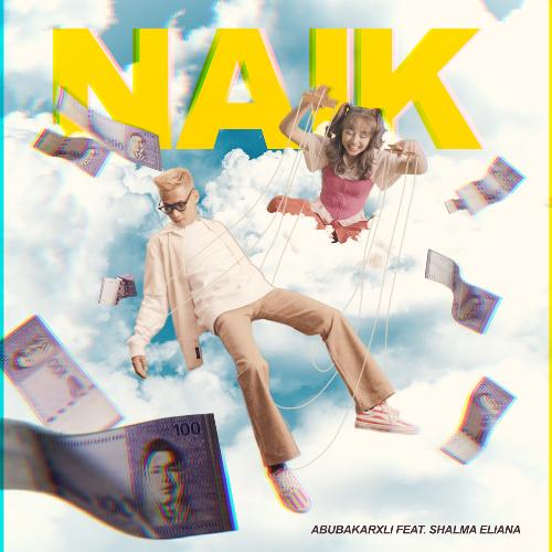 NAIK_poster_image