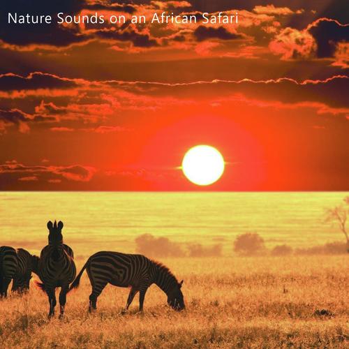 Nature Sounds on an African Safari