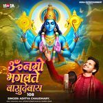 Om Namo Bhagavate Vasudevaya 108