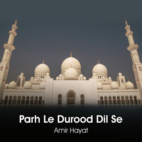 Amir Hayat