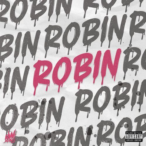 Robin cover art