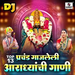 TOP 13 DJ Prachanda Gajleli Aradhyanchi Gaani