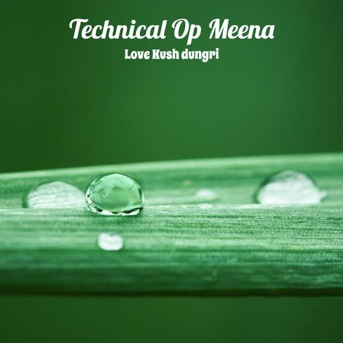 Technical Op Meena