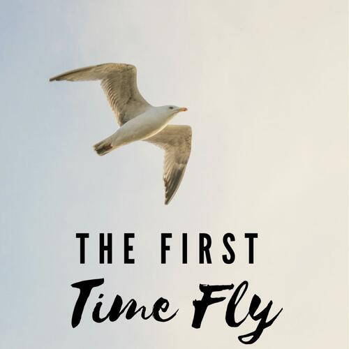 The First Time Fly