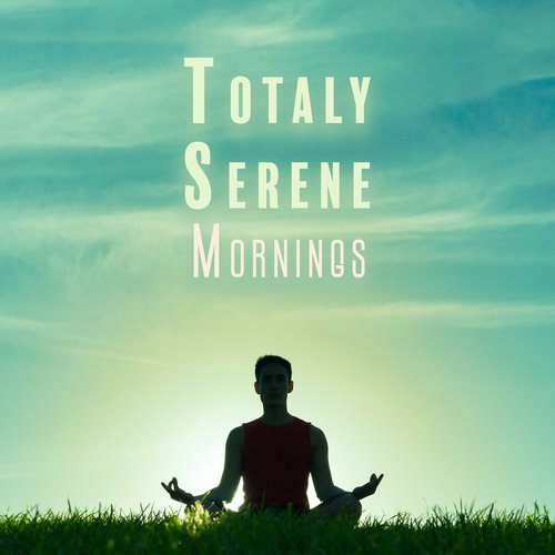 Totaly Serene Mornings: Quiet Relaxing Morning Music_poster_image