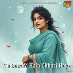 Tu Bewafa Hain Chhori Haye
