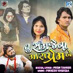 Tu Samje Na Mara Prem Ne