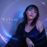 Velum