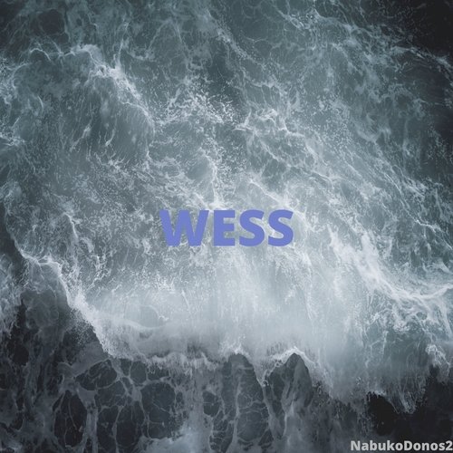 Wess cover art