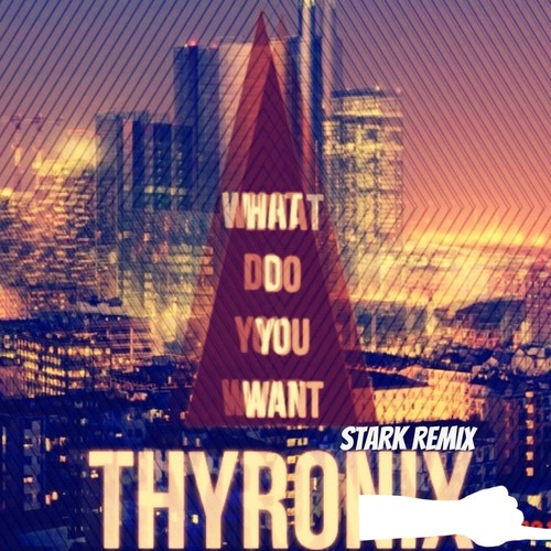 What Do You Want (Stark Remix)