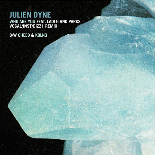 Who Are You (Dizz1 Remix) cover art