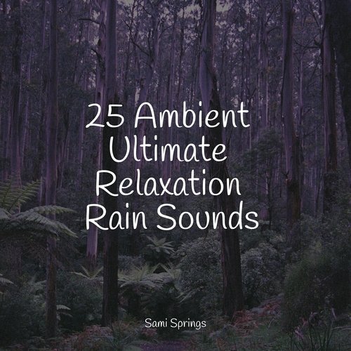 25 Ambient Ultimate Relaxation Rain Sounds