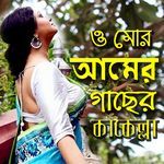 Amer Gachher Kakella