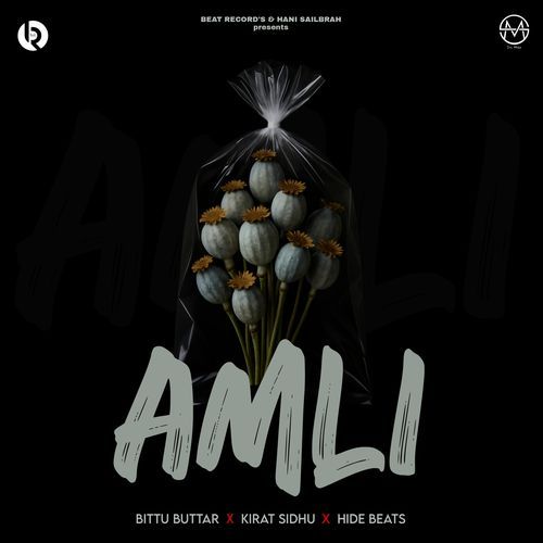 Amli
