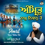 Amrit Naam Nidhan Hai