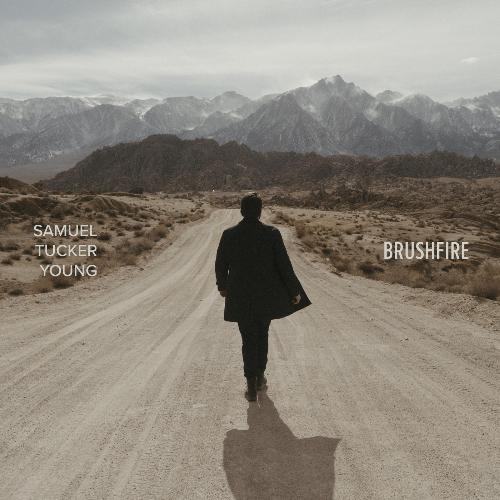 Brushfire cover art