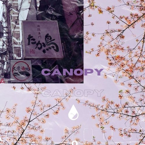 Canopy