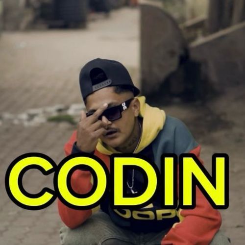 Codin