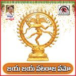 Jaya Jaya Nataraja Namo