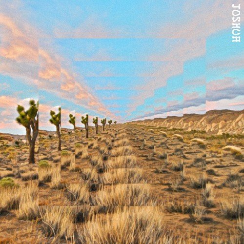 Cali Shrooms Boom cover art