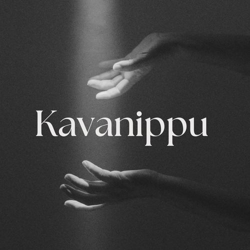 Kavanippu