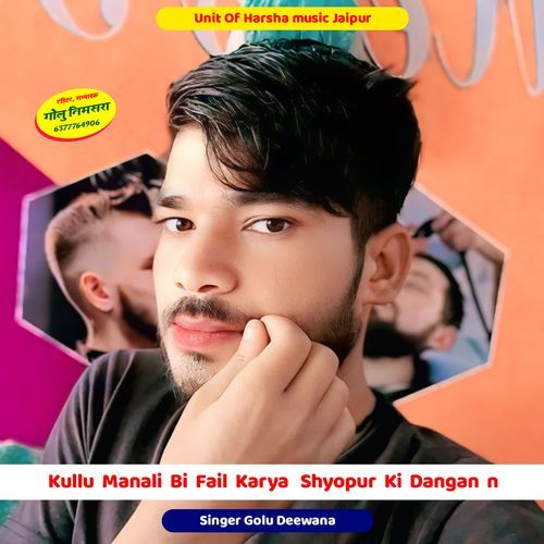 Kullu Manali Bi Fail Karya Shyopur