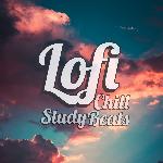 Lofi Beautiful Birds Must Fly