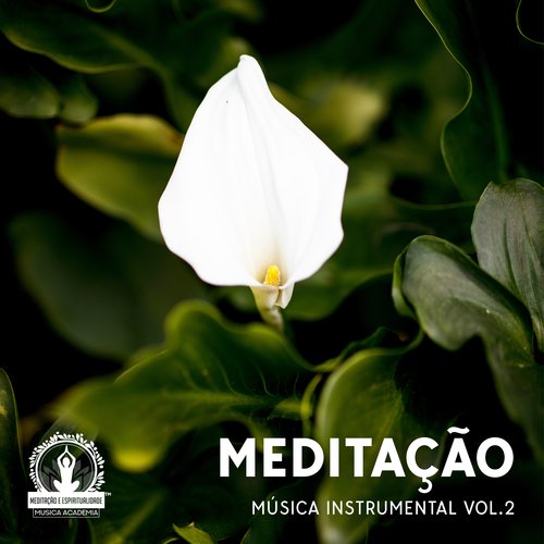 Meditação - Música Instrumental Vol.2 – Harmonia, Música de Flauta, Piano, Guitarra, Sons da Natureza, Musica Reiki, Zen, Yoga, Espiritualidade_poster_image