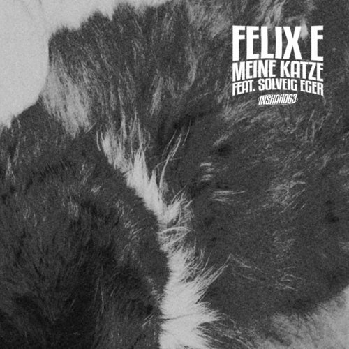Meine Katze (Mister Sweatband Remix) cover art