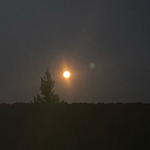 Mind (Slowed)