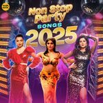 Non Stop Party Songs 2025