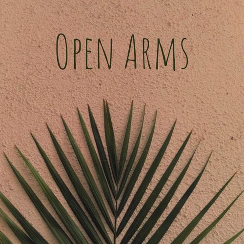 Open Arms_poster_image