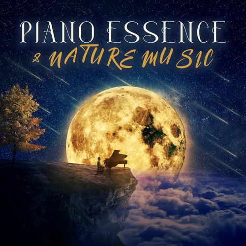 Piano Essence &amp; Nature Music: Gentle Piano Pieces to Sleep_poster_image