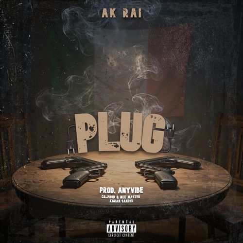 Plug