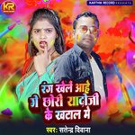 Rang Khele Aahe Ge Chhori Yadoji Ke Khatal Me