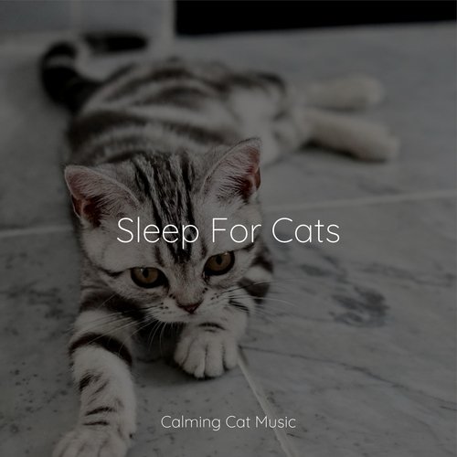 Lazy Morning cover art