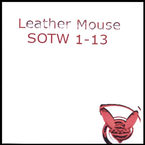 SOTW #6 Hit This cover art