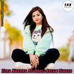 Tera Nakhra Pe Dholi Aslam Singer