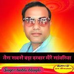 Tera sabse bada darbar mere sanwariya