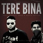 Tere Bina