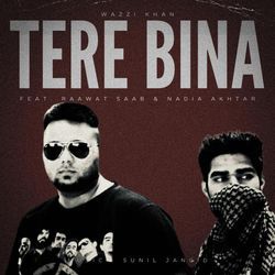Tere Bina