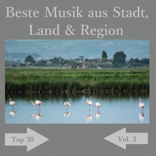 Top 30: Beste Musik aus Stadt, Land & Region, Vol. 3