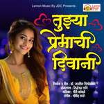 Tujhya Premachi Diwani