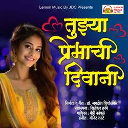 Tujhya Premachi Diwani
