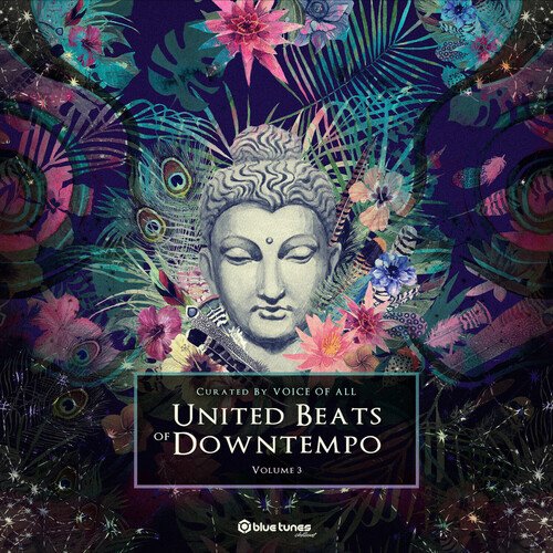 Raging Ravers (Psychoz Remix)