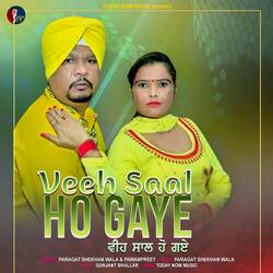 Veeh Saal Ho Gaye-Bwk-dTpZcEs