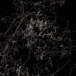 the creature yearns for eternal fever