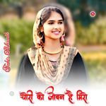 चोरी को जोबन है मिरो