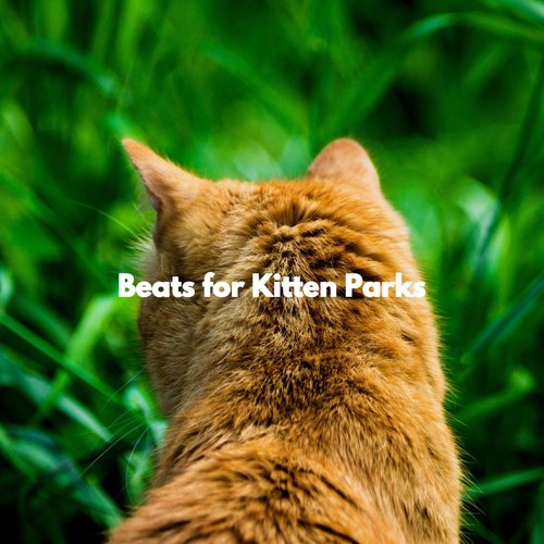Vibrant Stylish Cities cover art